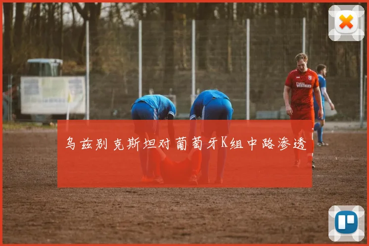 乌兹别克斯坦对葡萄牙K组中路渗透