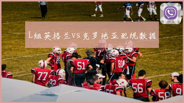 L组英格兰vs克罗地亚犯规数据