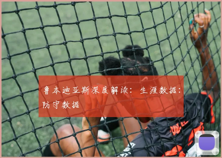 鲁本迪亚斯深度解读：生涯数据：防守数据
